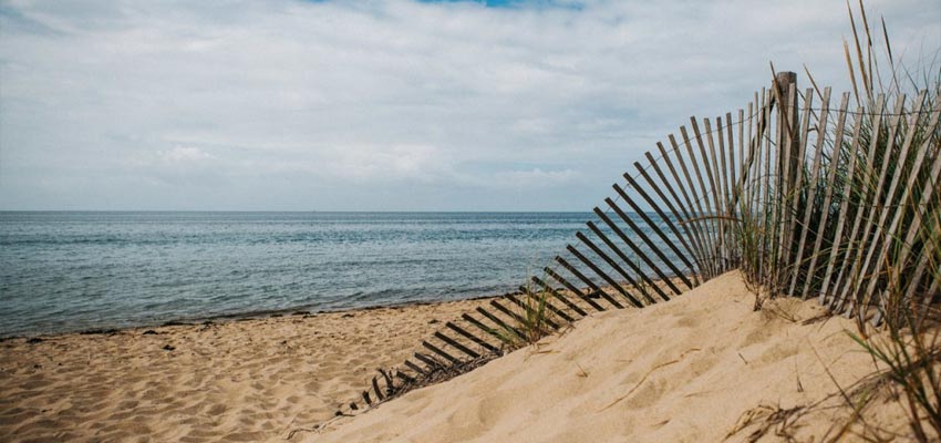 Race Point Beach