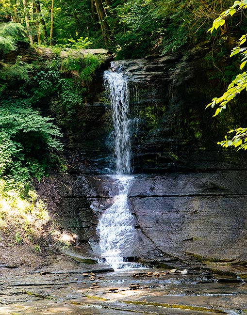 Fall Run Park waterfall