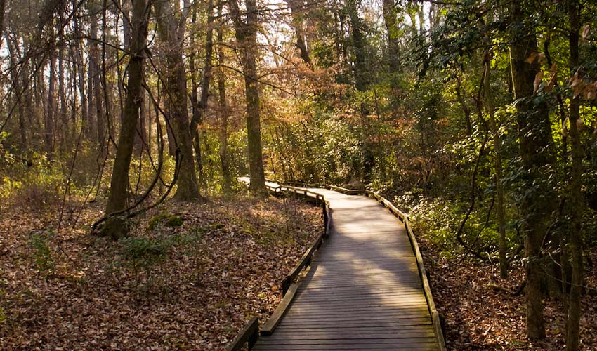 Congaree National Park