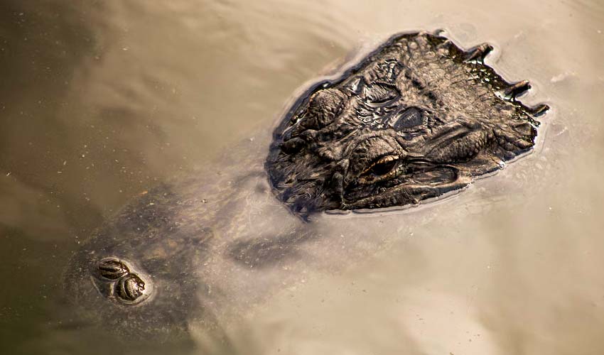 Everglades National Park