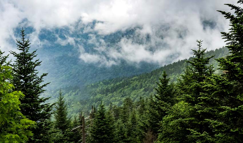 Great Smoky Mountains National Park