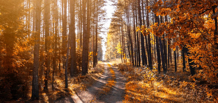 Appalachian Trail