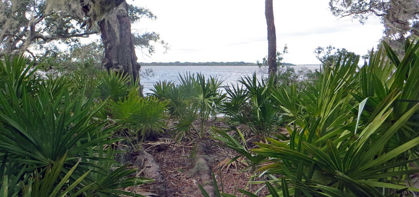 Cumberland Island