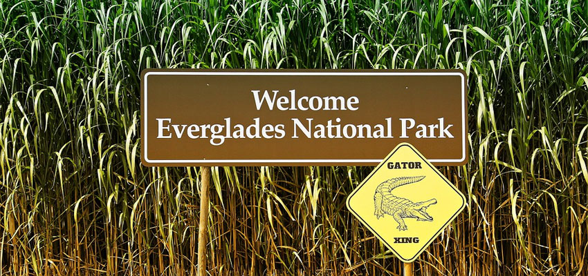 Everglades Camping