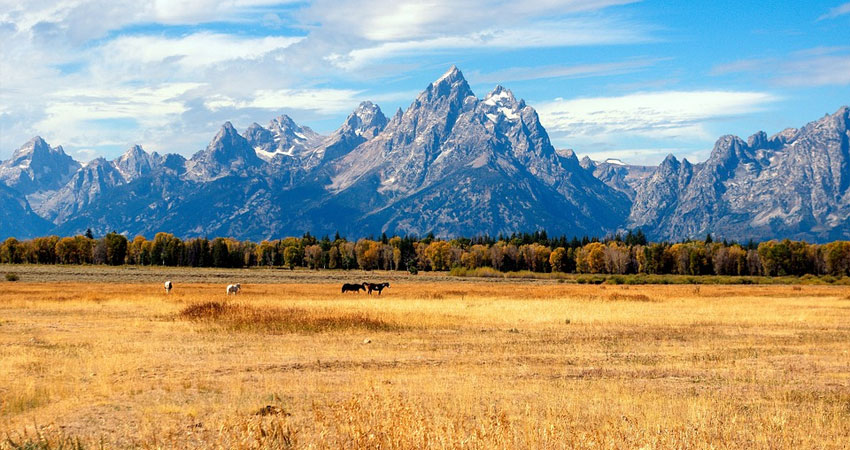 Grand Teton National Park