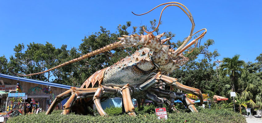 Rain Barrel Village Lobster