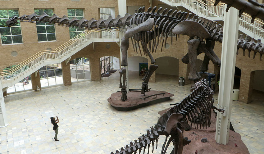 Fernbank Museum