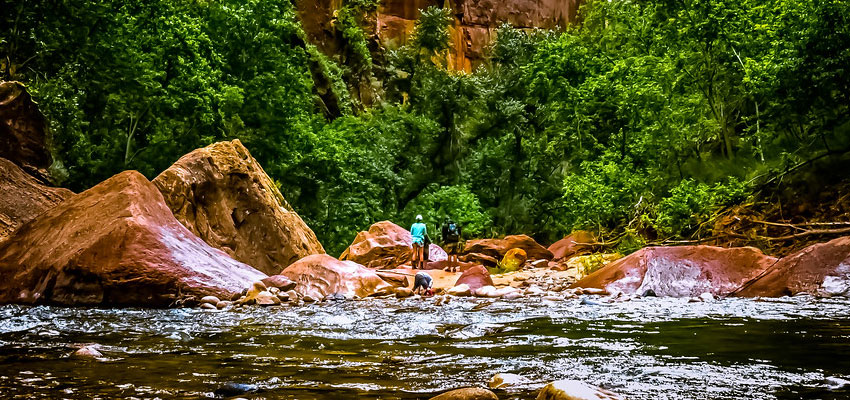 Zion Riverside Walk