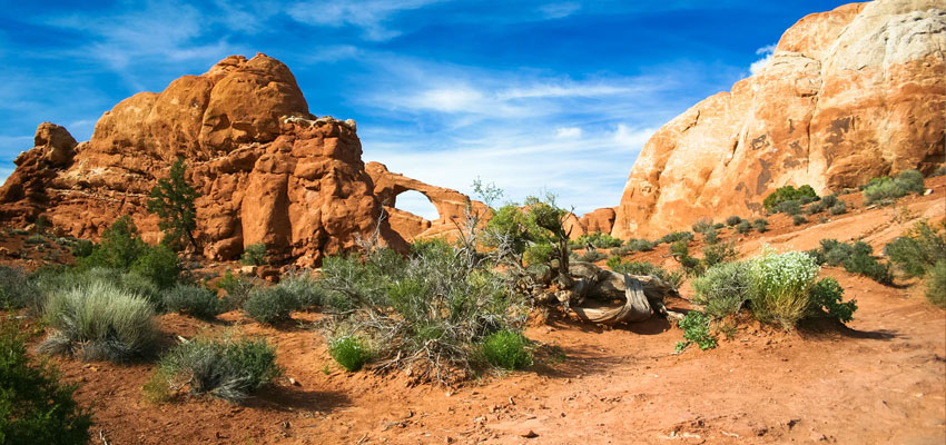 Arches National Park