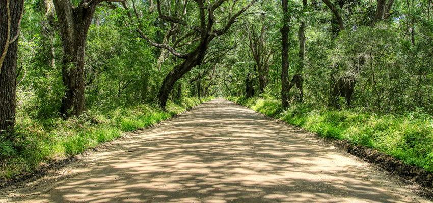 Botany Bay Road