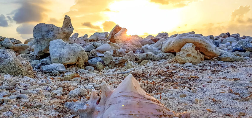 Cayo Costa State Park