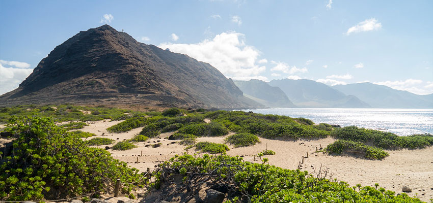 Ka'ena Point Trail