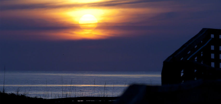 Little Talbot Island