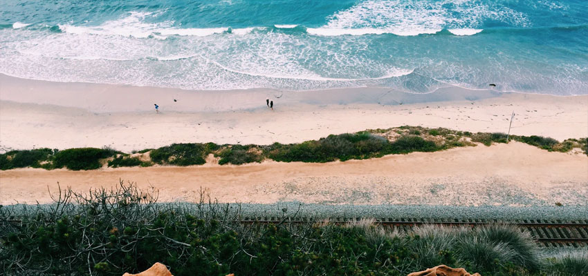 Torrey Pines