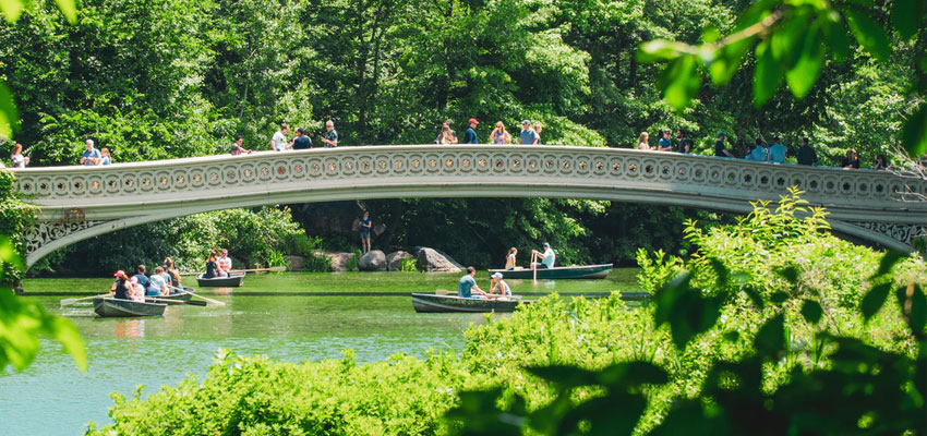 Central Park Fishing