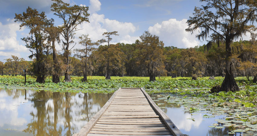 Caddo Lake