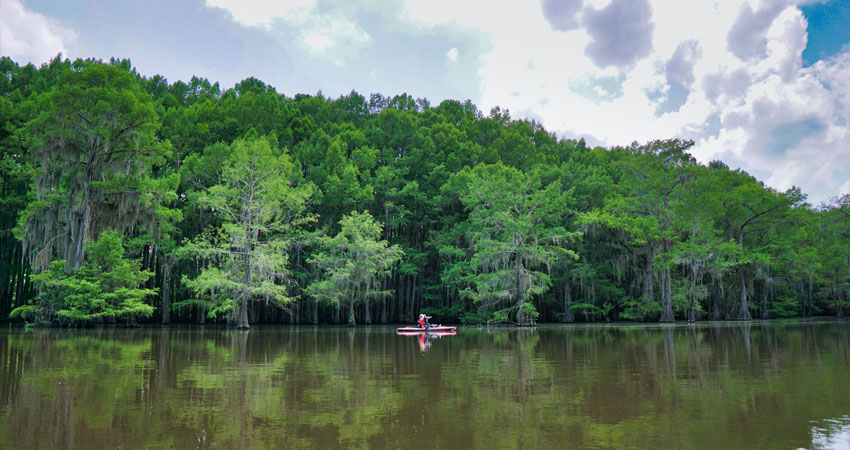 Kayaking on Caddo Lake