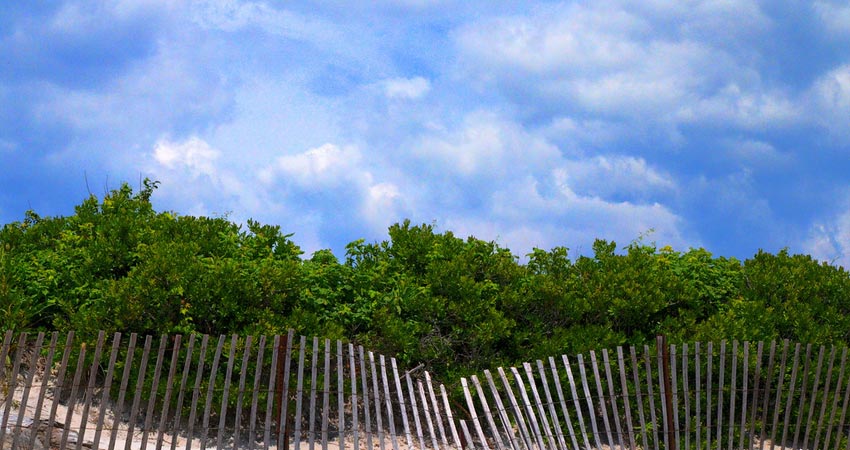 Waterford Beach State Park