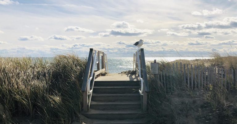 14 Best Beaches in Massachusetts to Vacation to - Scenic States