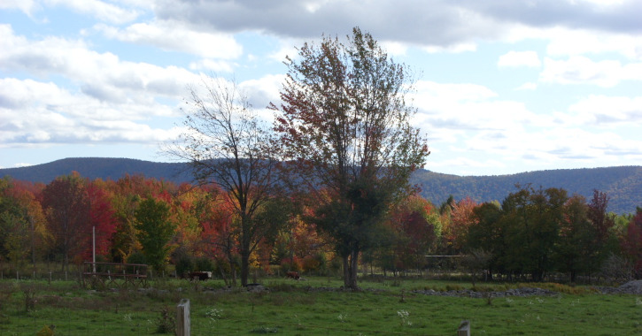 County Road, The Catskills, New York