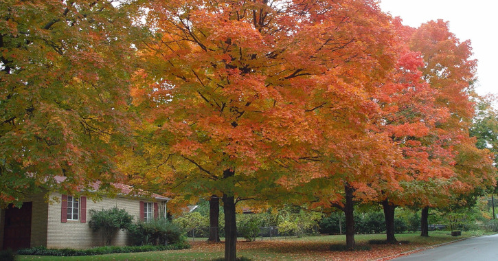 Ozarks, Arkansas