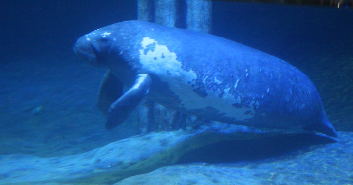 Columbus Zoo and Aquarium, Ohio