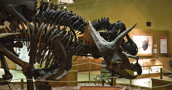 Wyoming Dinosaur Museum