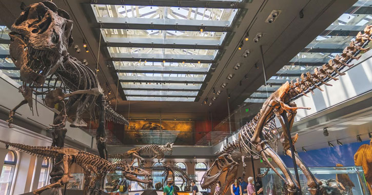 Los Angeles dinosaur museum USA 