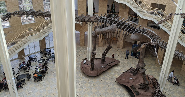 Atlanta Georgia Dinosaur Museum