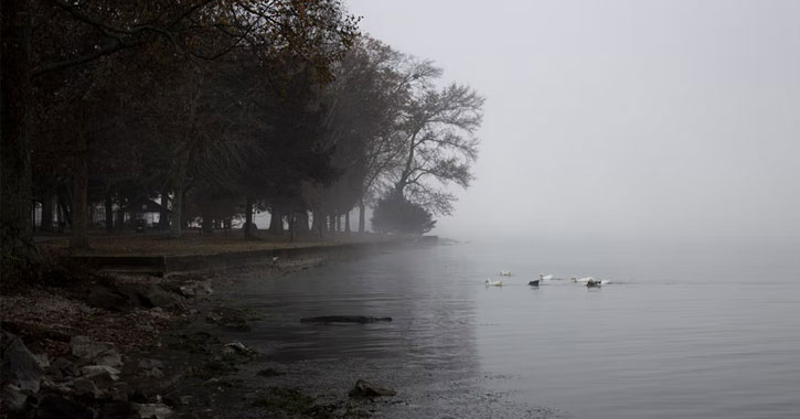 largest lake in Alabama 