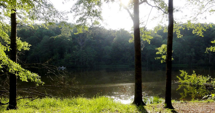 alabama public lakes 