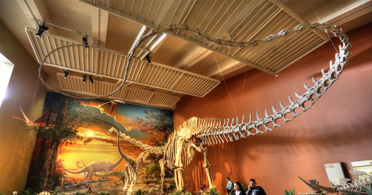 New Mexico dinosaur museum