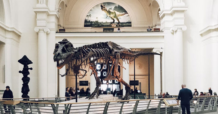  Chicago Dinosaur Museum