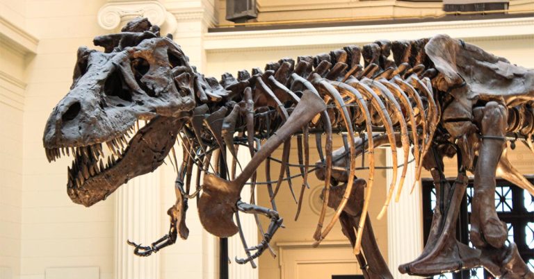 22 Best Dinosaur Museums in the US and Other Attractions - Scenic States