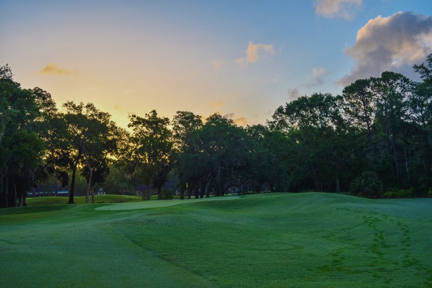 golf course trees afternoon