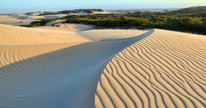when to visit Oceano sand dunes
