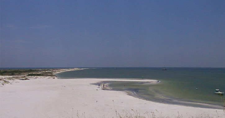 are dogs allowed on long beach ms beaches