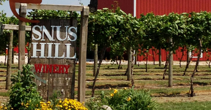 Iowa Wineries