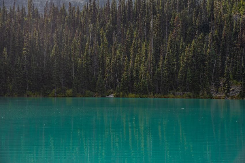 illinois lakes