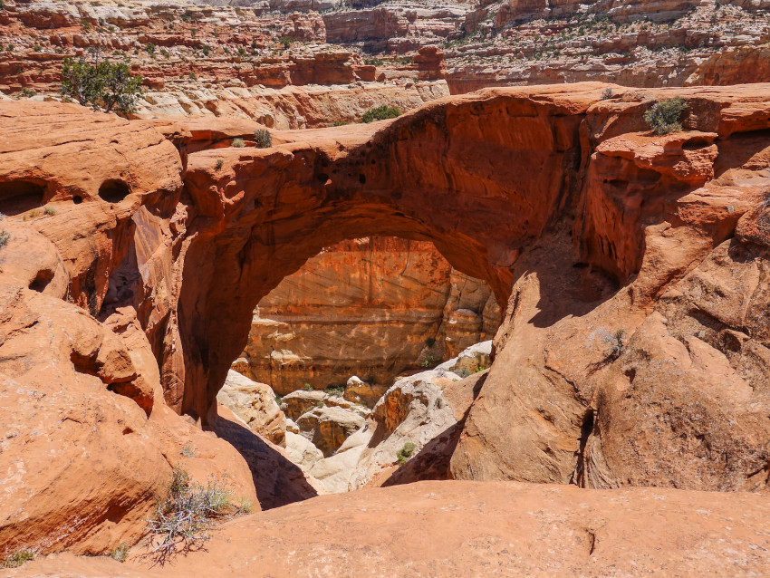 Capitol Reef National Park, Utah