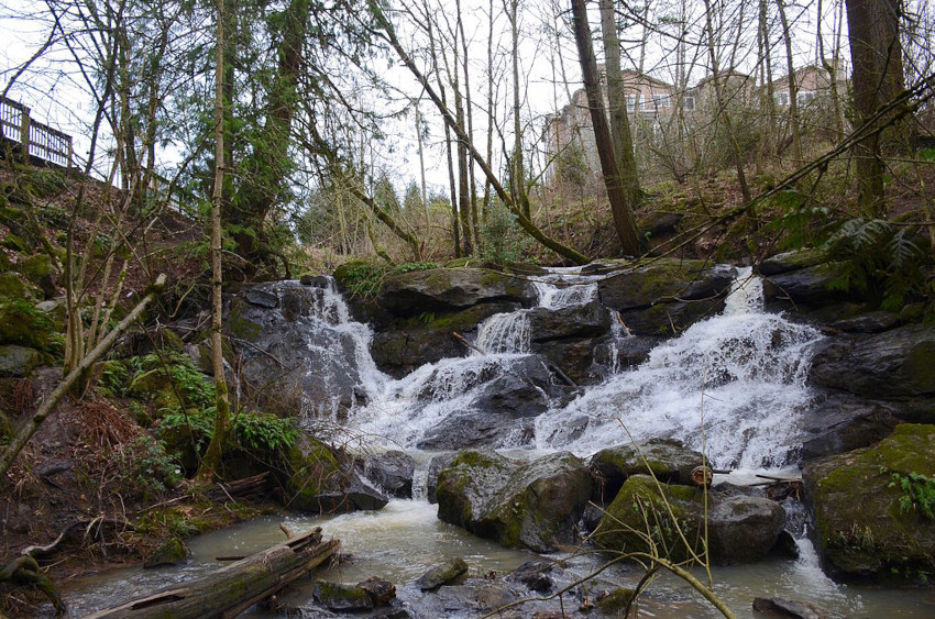 Cedar Mill Falls, Portland, Oregon