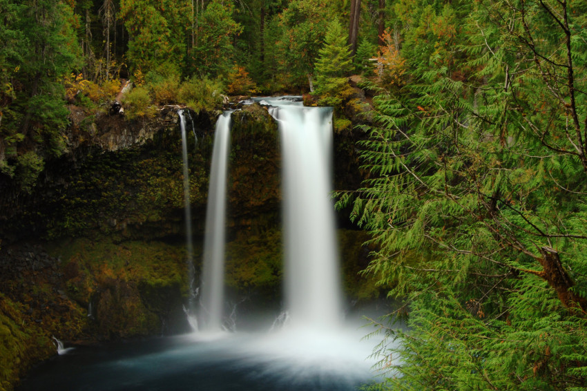 Koosah Falls, Oregon