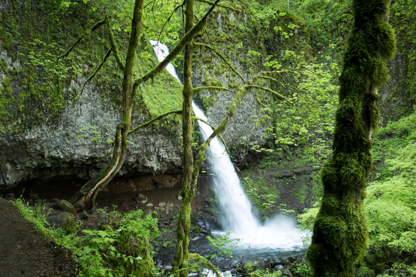 Ponytail Falls, Oregon