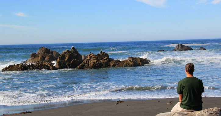 beaches of Redwood Park