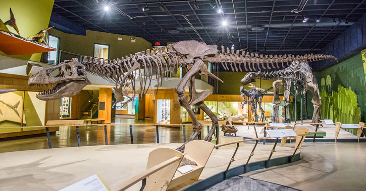 Dinosaur museum in Ohio