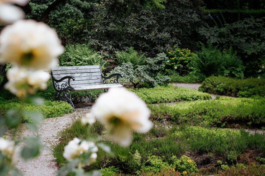 Date ideas in Baltimore Arboretum