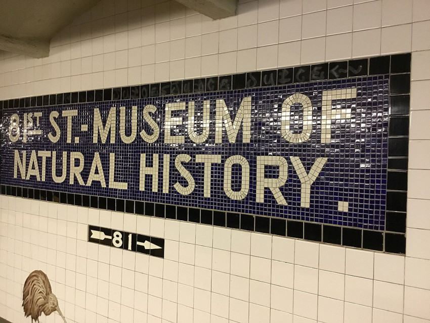 81st Street Museum of Natural History Station, New York City, New York
