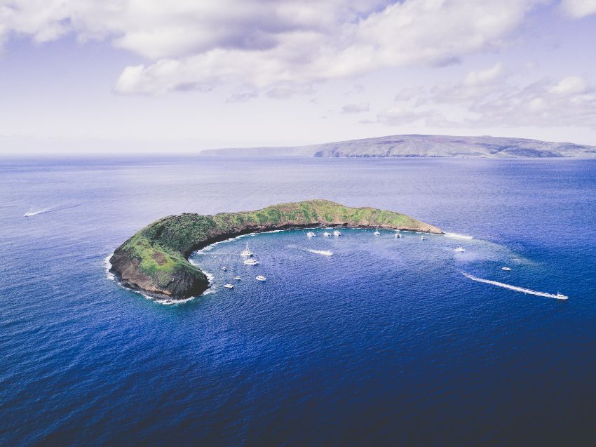 Best Spot for Snorkeling in Maui