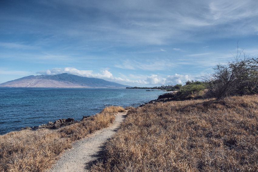 Best and Safest Snorkeling in Maui for Beginners and Families