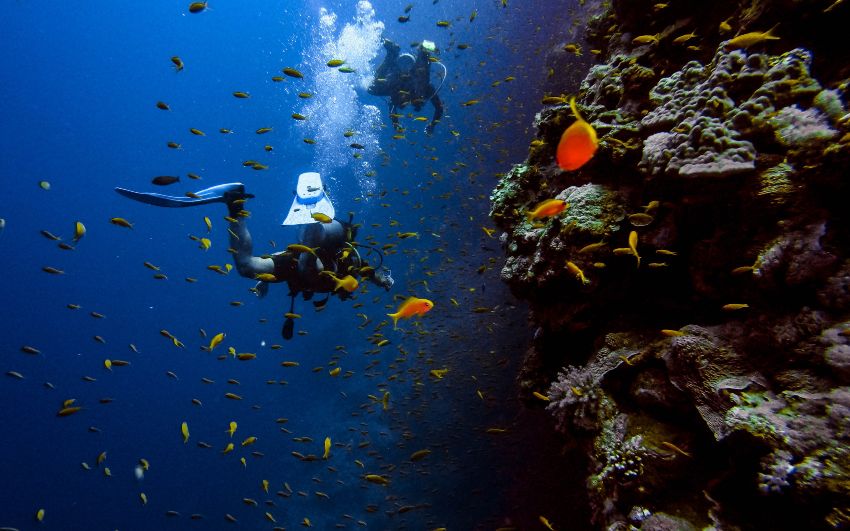 Snorkeling in Hawaii